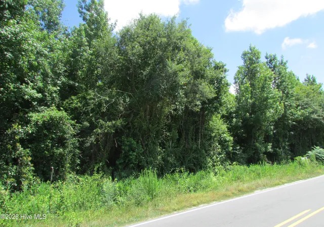 Photo 3 of Land for sale at 3180 Roseboro Hwy, Clinton, NC 28328 | MLS# 100585473 | Listing updated on 2026-08-19