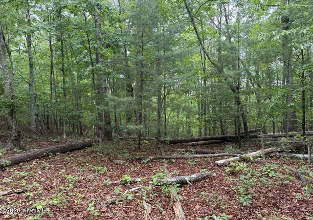Photo 30 of Single family home for sale at 274 Snow Hl Ridge Rd, Murphy, NC 28906 | MLS# 100582000 | Listing updated on 2026-08-28