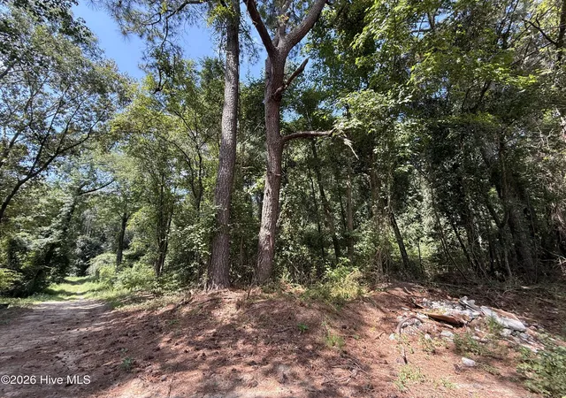 Photo 2 of Land for sale at Lot 1a Holland Rd, Greenville, NC 27834 | MLS# 100599701 | Listing updated on 2026-09-03