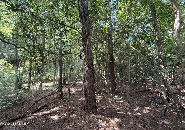 Photo 3 of Land for sale at Lot 1a Holland Rd, Greenville, NC 27834 | MLS# 100599701 | Listing updated on 2026-09-03