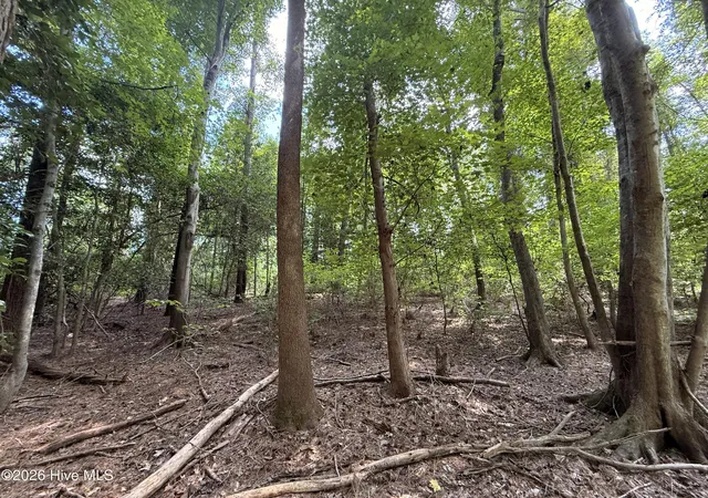 Photo 3 of Land for sale at Lot 1A Holland Rd, Greenville, NC 27834 | MLS# 100599701 | Listing updated on 2026-09-03