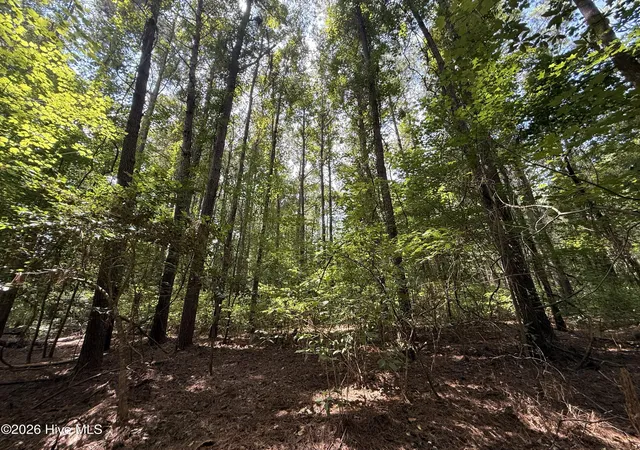 Photo 4 of Land for sale at Lot 1A Holland Rd, Greenville, NC 27834 | MLS# 100599701 | Listing updated on 2026-09-03