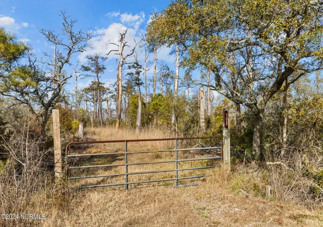 Photo 3 of Land for sale at 165 Goose Pond Rd, Marshallberg, NC 28553 | MLS# 100531050 | Listing updated on 2026-08-19