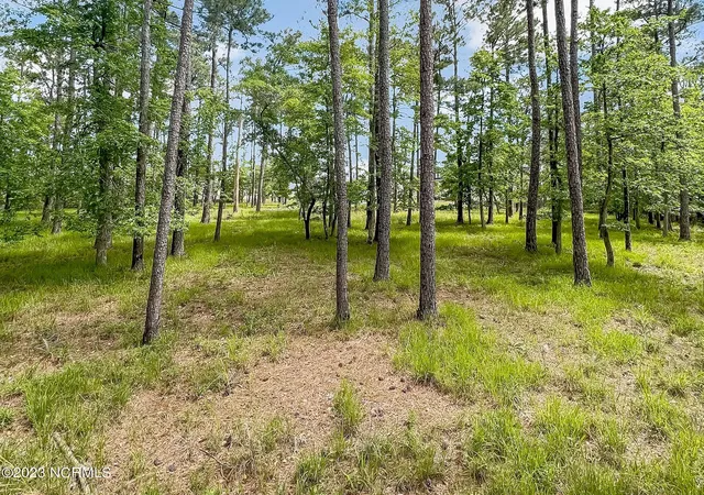 5th image of 71 Mill Creek Ln, Oriental, NC 28571 | MLS# 100437195