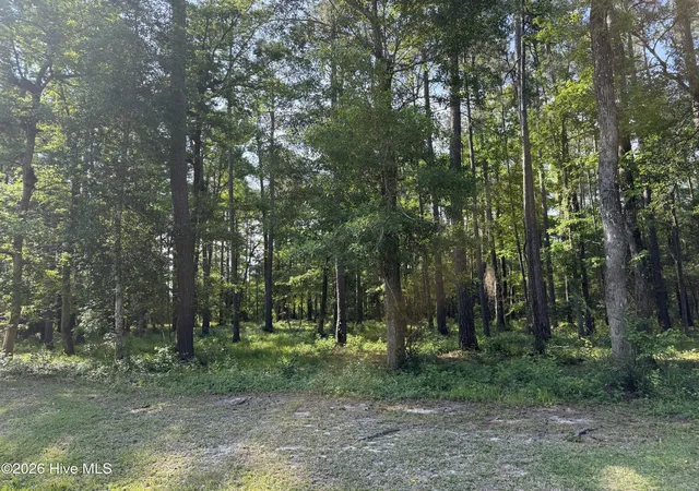 Photo 3 of Land for sale at 221 Bridgewater Dr, Beaufort, NC 28516 | MLS# 100574990 | Listing updated on 2026-08-19