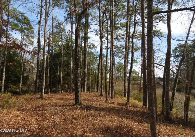 Photo 2 of Land for sale at 280 Winding Crk Dr, Oriental, NC 28571 | MLS# 100551485 | Listing updated on 2026-08-19