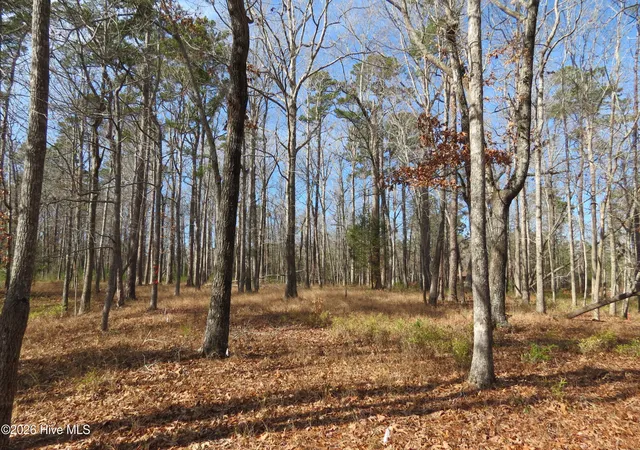 Photo 3 of Land for sale at 280 Winding Crk Dr, Oriental, NC 28571 | MLS# 100551485 | Listing updated on 2026-08-19