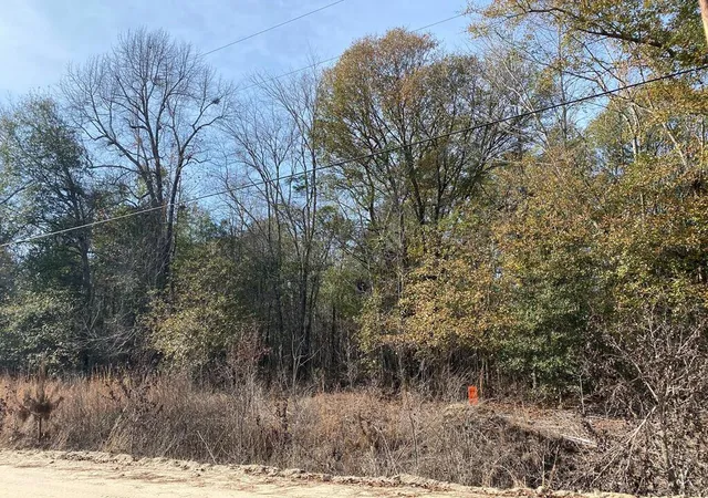 Homes for sale in Swainsboro, GA | Lot 14 Robin Rd, Swainsboro, GA 30401 | MLS# 100579814