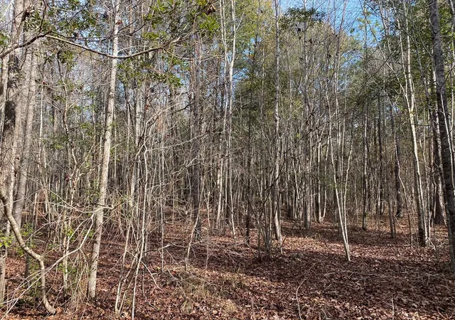 Homes for sale in Swainsboro, GA | Lot 14 Robin Rd, Swainsboro, GA 30401 | MLS# 100579814