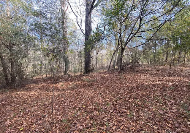 Homes for sale in Swainsboro, GA | Lot 14 Robin Rd, Swainsboro, GA 30401 | MLS# 100579814