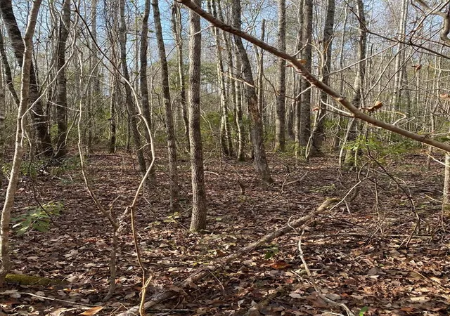 Homes for sale in Swainsboro, GA | Lot 14 Robin Rd, Swainsboro, GA 30401 | MLS# 100579814