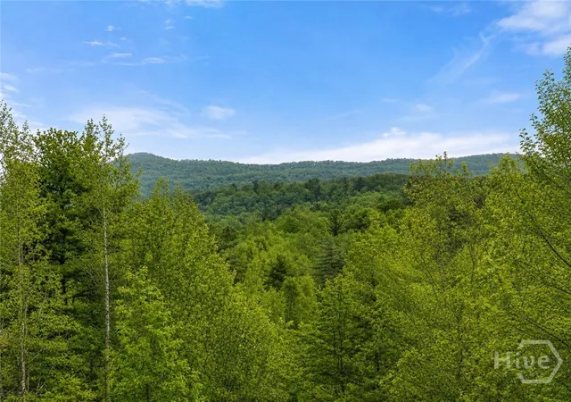 Homes for sale in Mineral Bluff, GA | 437 Spruce Cir, Mineral Bluff, GA 30559 | MLS# CL359191