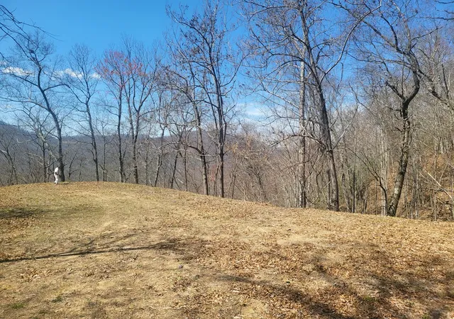 Photo 4 of Land for sale at Sr 1229 Dry Crk, Robbinsville, NC 28771 | MLS# 98524832 | Listing updated on 2026-08-19