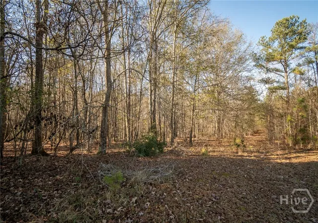 Homes for sale in Jefferson, GA | 0 Lavista Rd, Jefferson, GA 30549 | MLS# CM1021467