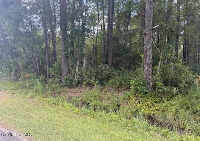 Homes for sale in Lake Waccamaw, NC | 2539 Chauncey Town Rd, Lake Waccamaw, NC 28450 | MLS# 100575809