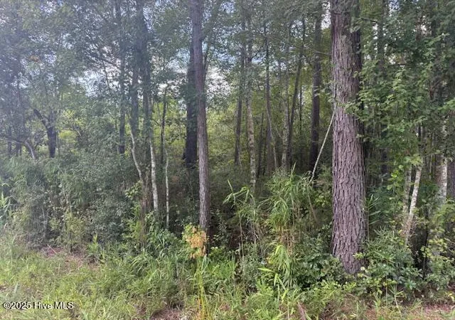 Homes for sale in Lake Waccamaw, NC | 2539 Chauncey Town Rd, Lake Waccamaw, NC 28450 | MLS# 100575809