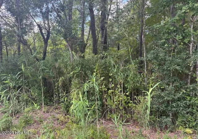 Homes for sale in Lake Waccamaw, NC | 2539 Chauncey Town Rd, Lake Waccamaw, NC 28450 | MLS# 100575809