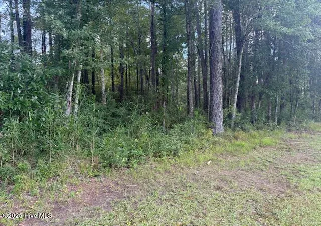 Homes for sale in Lake Waccamaw, NC | 2539 Chauncey Town Rd, Lake Waccamaw, NC 28450 | MLS# 100575809