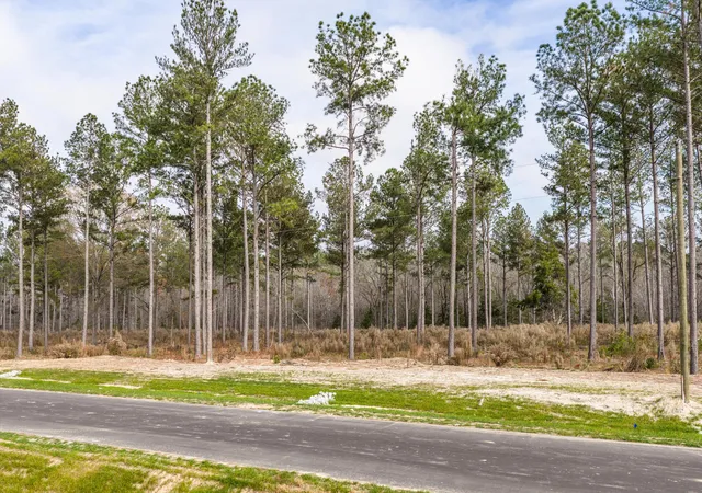 Photo 3 of Land for sale at 159 Beagle Chase Dr, Appling, GA 30802 | MLS# 98254816 | Listing updated on 2026-08-19