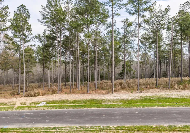 Photo 3 of Land for sale at 159 Beagle Chase Dr, Appling, GA 30802 | MLS# 98254816 | Listing updated on 2026-08-19