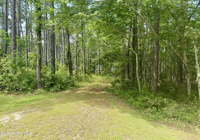 3rd image of 558 Sandy Point Dr, Beaufort, NC 28516 | MLS# 100581493