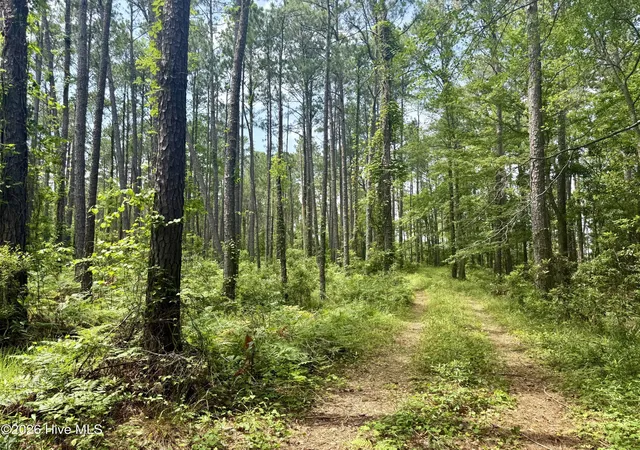 4th image of 558 Sandy Point Dr, Beaufort, NC 28516 | MLS# 100581493