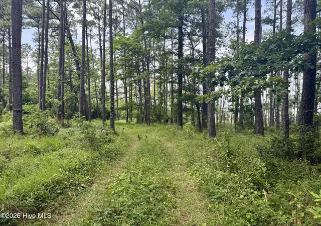 5th image of 558 Sandy Point Dr, Beaufort, NC 28516 | MLS# 100581493
