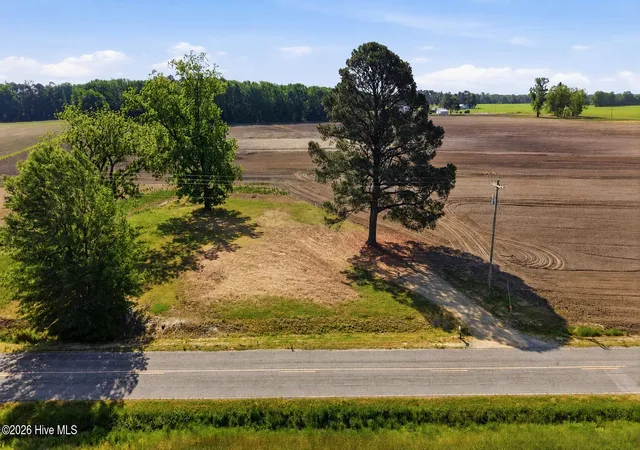 Homes for sale in Mount Olive, NC | 315 Flowers Rd, Mount Olive, NC 28365 | MLS# 100586813