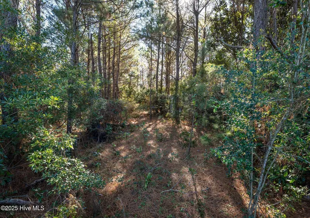 4th image of 24324 Us Hwy 17, Hampstead, NC 28443 | MLS# 100544492