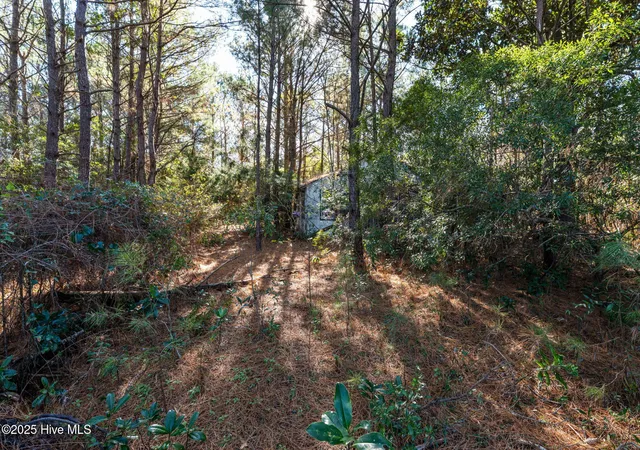 5th image of 24324 Us Hwy 17, Hampstead, NC 28443 | MLS# 100544492