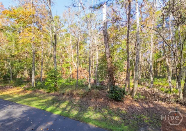 7th image of 204 Dogwood Way, Richmond Hill, GA 31324 | MLS# SA359163