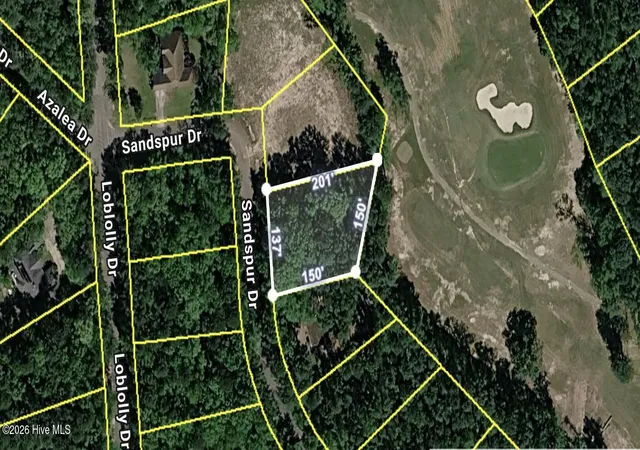 Homes for sale in Vass, NC | 747 Sandspur Dr, Vass, NC 28394 | MLS# 100581678