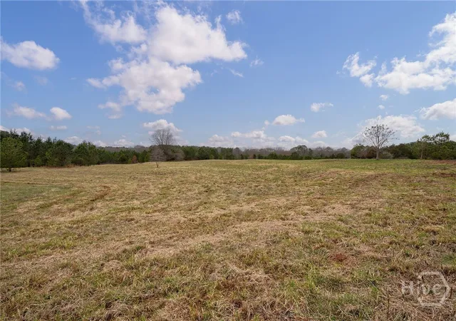 Homes for sale in Bishop, GA | Tract 1 B High Shoals Rd, Bishop, GA 30621 | MLS# CL355631