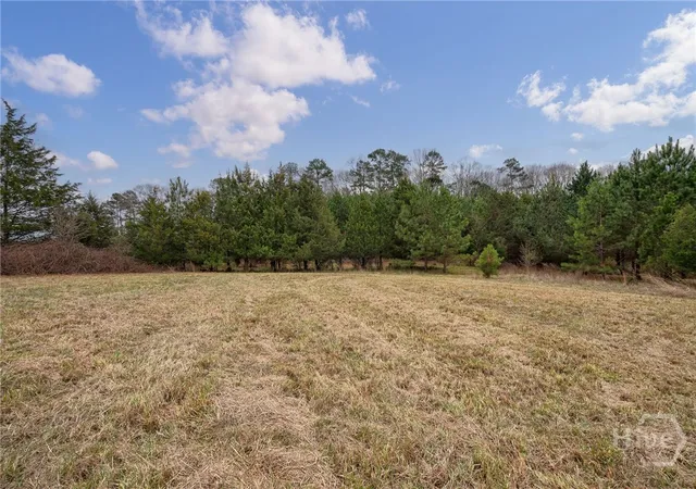 Homes for sale in Bishop, GA | Tract 1-B High Shoals Rd, Bishop, GA 30621 | MLS# CL355631
