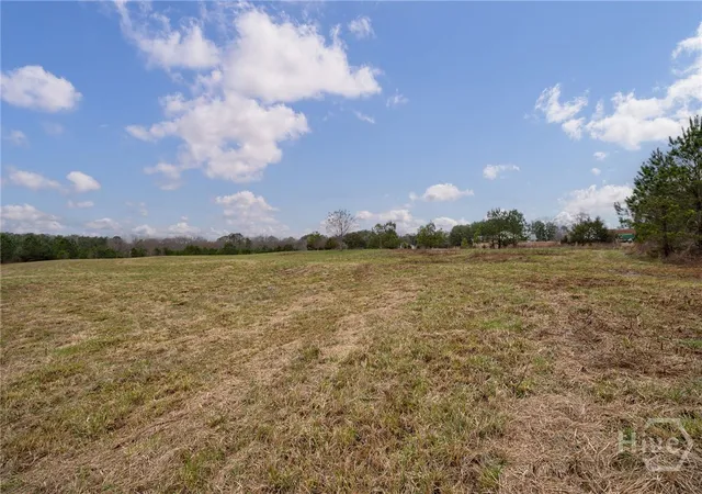 Homes for sale in Bishop, GA | Tract 1-B High Shoals Rd, Bishop, GA 30621 | MLS# CL355631