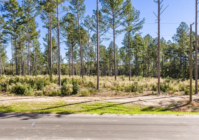 Photo 4 of Land for sale at 119 Beagle Chase Dr, Appling, GA 30802 | MLS# 98224994 | Listing updated on 2026-08-19