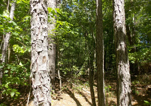 1st image of 12 Doe Run, Lincolnton, GA 30817 | MLS# 98212094