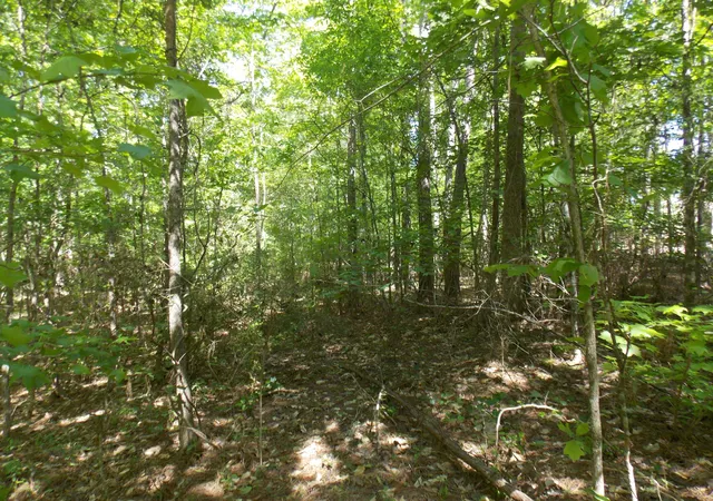 2nd image of 12 Doe Run, Lincolnton, GA 30817 | MLS# 98212094
