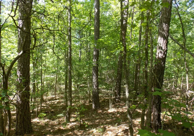3rd image of 12 Doe Run, Lincolnton, GA 30817 | MLS# 98212094