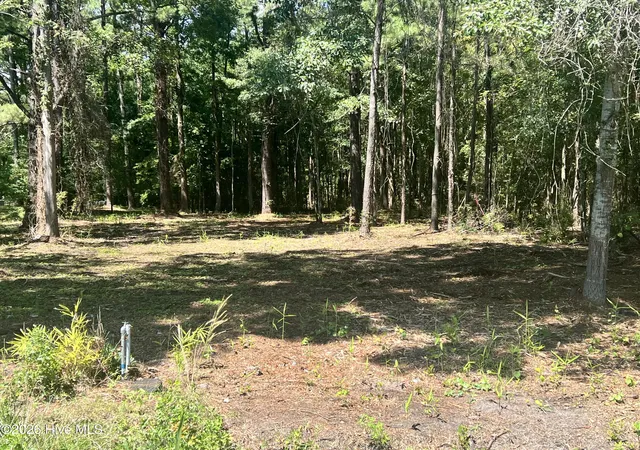 Photo 1 of Land for sale at Lot 3 Elm St, Belhaven, NC 27810 | MLS# 100600172 | Listing updated on 2026-09-01