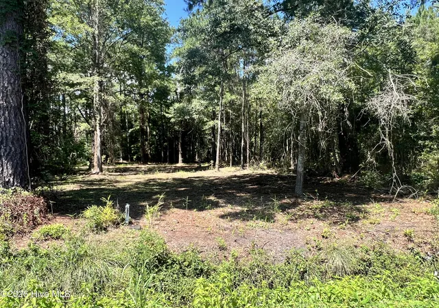 Photo 2 of Land for sale at Lot 3 Elm St, Belhaven, NC 27810 | MLS# 100600172 | Listing updated on 2026-09-01