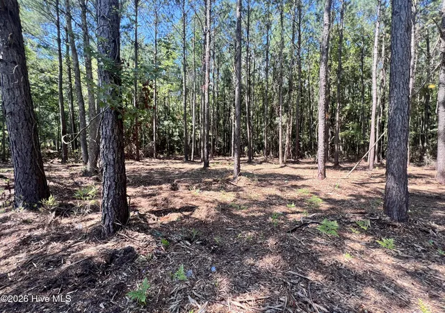 Photo 3 of Land for sale at Lot 3 Elm St, Belhaven, NC 27810 | MLS# 100600172 | Listing updated on 2026-09-01