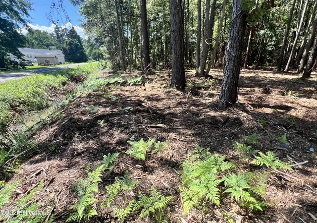 Photo 4 of Land for sale at Lot 3 Elm St, Belhaven, NC 27810 | MLS# 100600172 | Listing updated on 2026-09-01