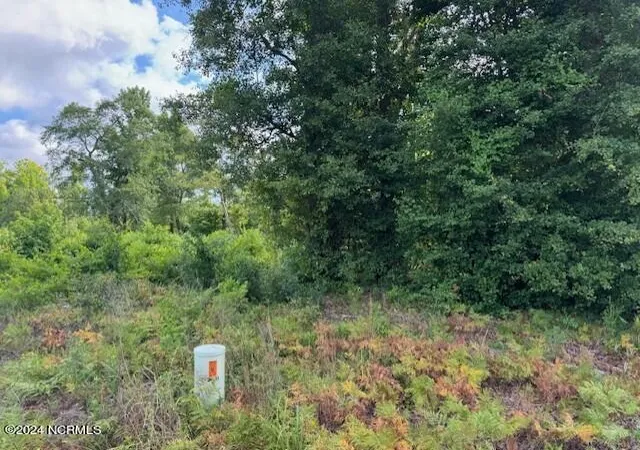 Photo 4 of Land for sale at Tract A Leland School Rd NE, Leland, NC 28451 | MLS# 100569923 | Listing updated on 2026-08-19