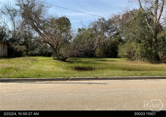 Homes for sale in Savannah, GA | 0 Mell St, Savannah, GA 31415 | MLS# SA359801