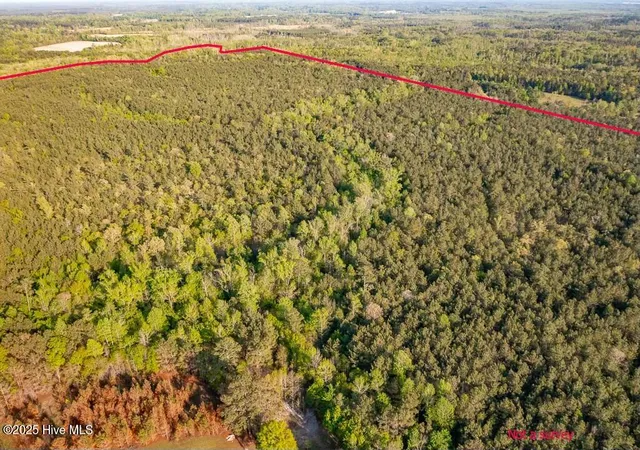 Photo 3 of Land for sale at 0 Streets Fry Rd, Vanceboro, NC 28586 | MLS# 100503725 | Listing updated on 2026-08-19