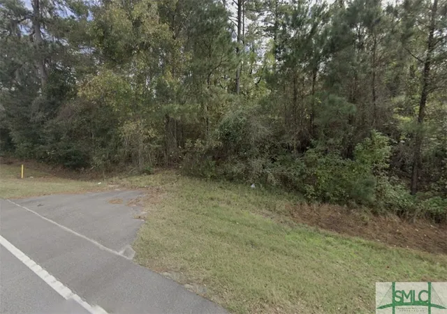 Homes for sale in Midway, GA | 154 Acres E Oglethorpe Hwy, Midway, GA 31320 | MLS# SA327648