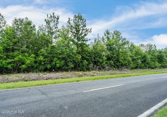 Homes for sale in Maple Hill, NC | 28ac Maple Hill School Rd, Maple Hill, NC 28454 | MLS# 100587911