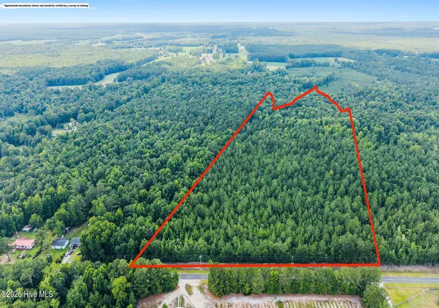 Homes for sale in Maple Hill, NC | 28ac Maple Hill School Rd, Maple Hill, NC 28454 | MLS# 100587911