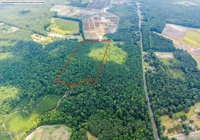 Homes for sale in Maple Hill, NC | 28Ac Maple Hill School Rd, Maple Hill, NC 28454 | MLS# 100587911